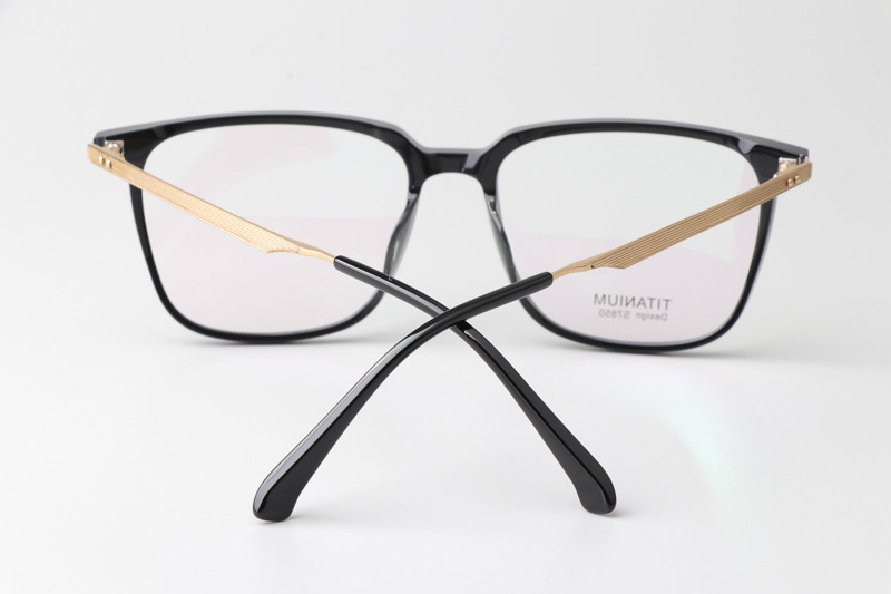 TCS7850 Eyeglasses Black Gold