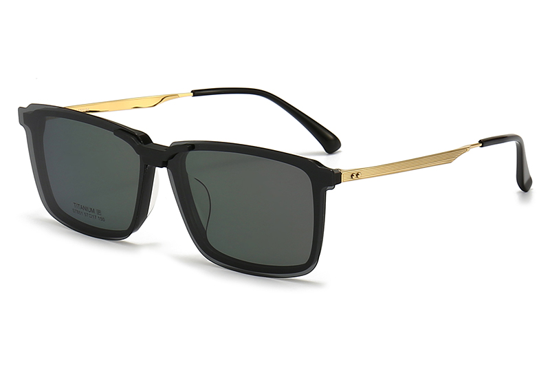 TCS7851 Eyeglasses Black Gold