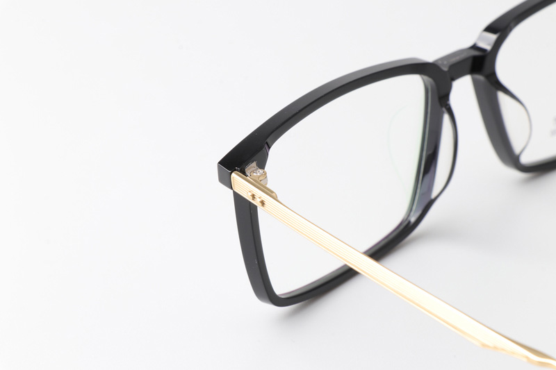 TCS7852 Eyeglasses Black Gold