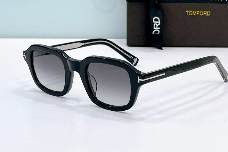 TF0021 Sunglasses Black Gradient Gray