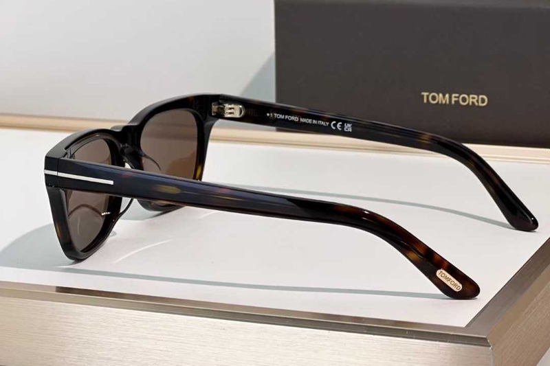 TF1362 Sunglasses Tortoise Brown