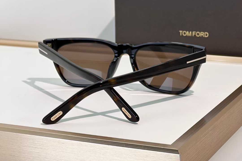 TF1362 Sunglasses Tortoise Brown