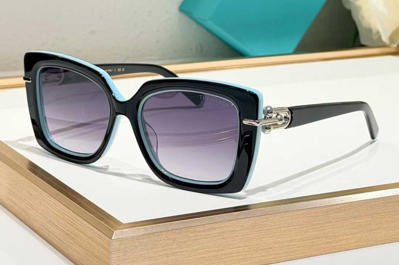 TF4199 Sunglasses Black Blue Gradient Gray