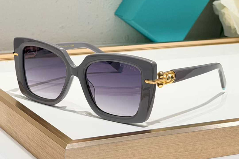 TF4199 Sunglasses Gray Gradient Gray