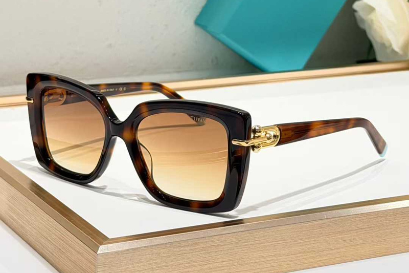 TF4199 Sunglasses Tortoise Gradient Brown