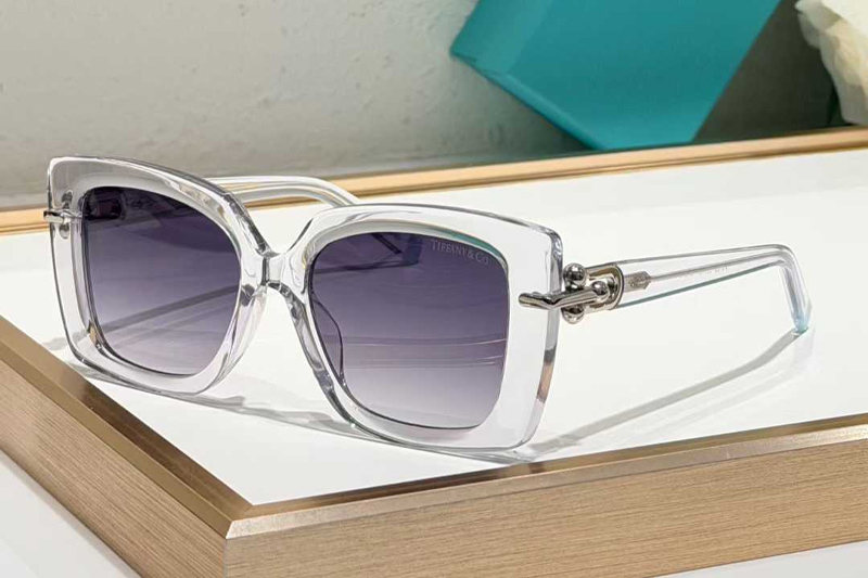 TF4199 Sunglasses Transparent Gradient Gray