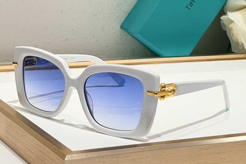 TF4199 Sunglasses White Gradient Blue