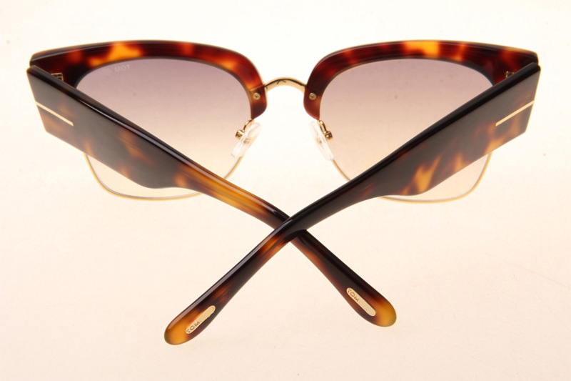 TF554 Dakota Sunglasses In Tortoise Gold Gradient Brown