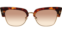 TF554 Dakota Sunglasses In Tortoise Gold Gradient Brown
