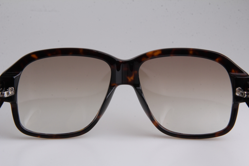 TF837 Sunglasses In Tortoise Gradient Brown