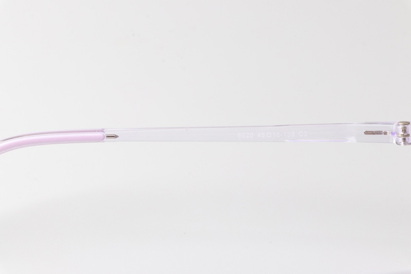 TR6620 Eyeglasses Clear Purple