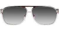 The Briwn Sunglasses Silver Gradient Gray