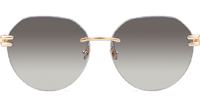 The Weben I Sunglasses Gold Tortoise Gradient Gray