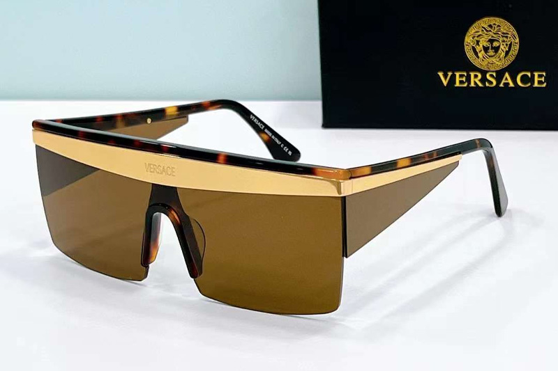 VE2254 Sunglasses Tortoise Gold Brown