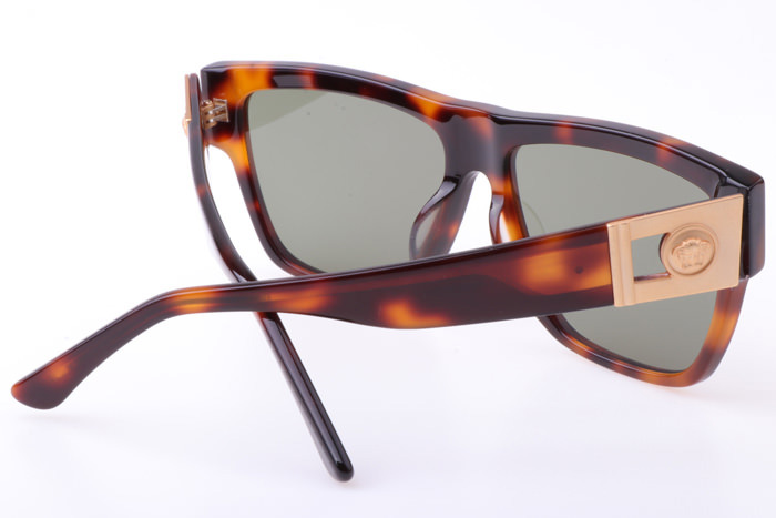 VE372A Sunglasses In Tortoise Gold