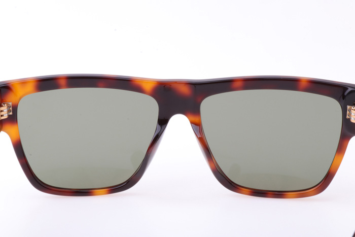 VE372A Sunglasses In Tortoise Gold