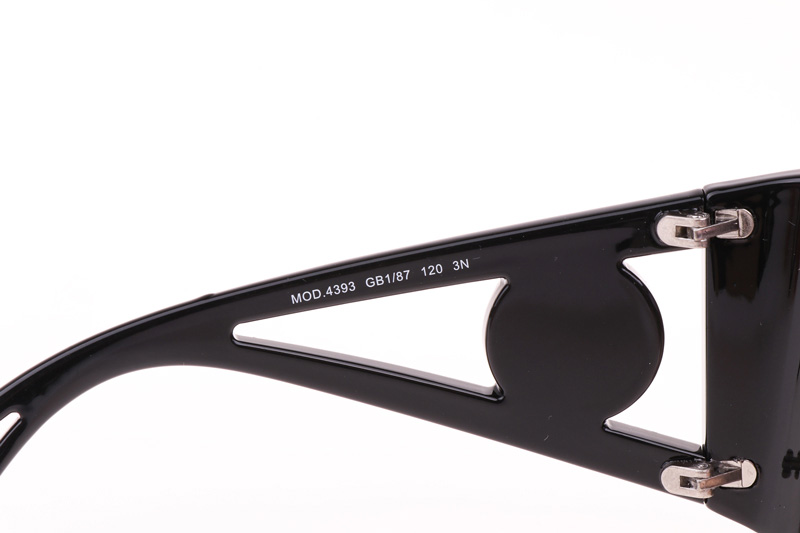 VE4393 Sunglasses In Black