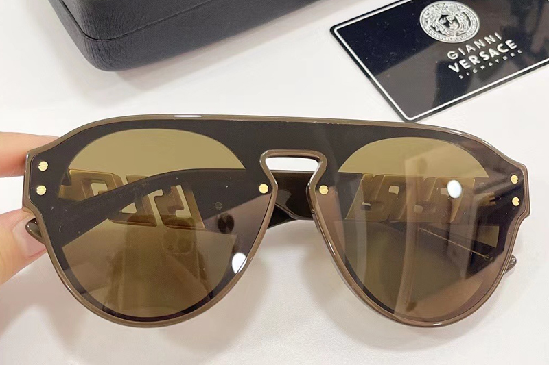 VE4420 Sunglasses In Brown