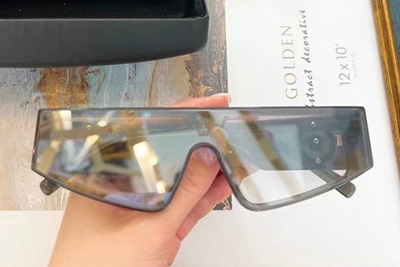 ve2161 sunglasses
