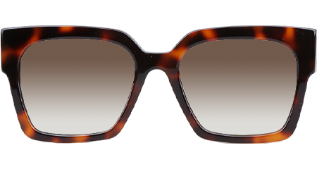 VMU04U Sunglasses Tortoise Gradient Brown