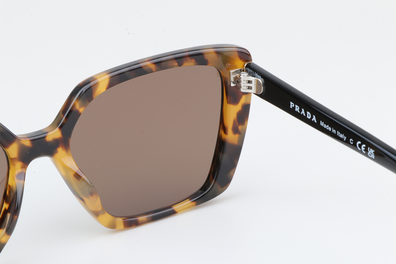 VPR16ZV Sunglasses Tortoise Black Brown
