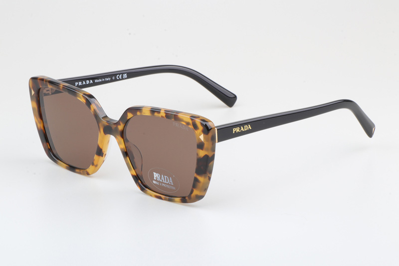 VPR16ZV Sunglasses Tortoise Black Brown