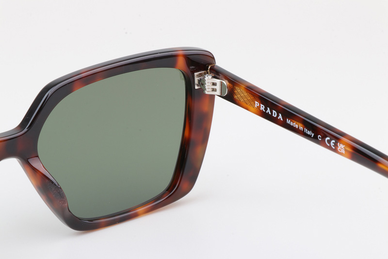 VPR16ZV Sunglasses Tortoise Green