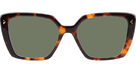 VPR16ZV Sunglasses Tortoise Green