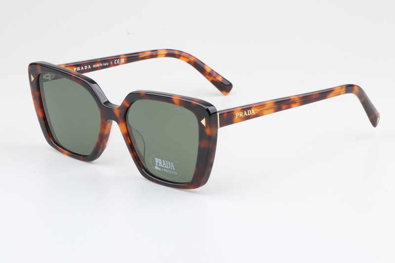 VPR16ZV Sunglasses Tortoise Green