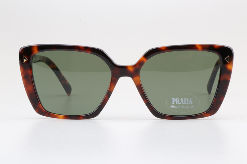 VPR16ZV Sunglasses Tortoise Green