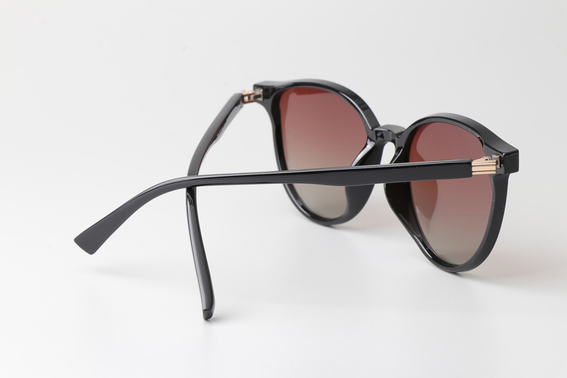 WT0116 Sunglasses Black Gradient Brown