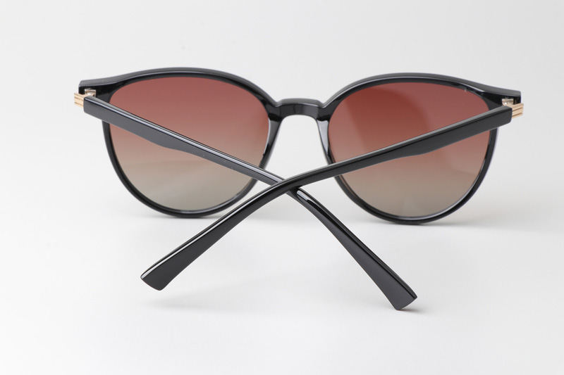 WT0116 Sunglasses Black Gradient Brown