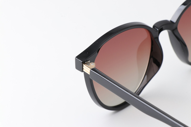 WT0116 Sunglasses Black Gradient Brown