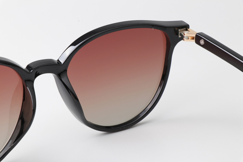 WT0116 Sunglasses Black Gradient Brown