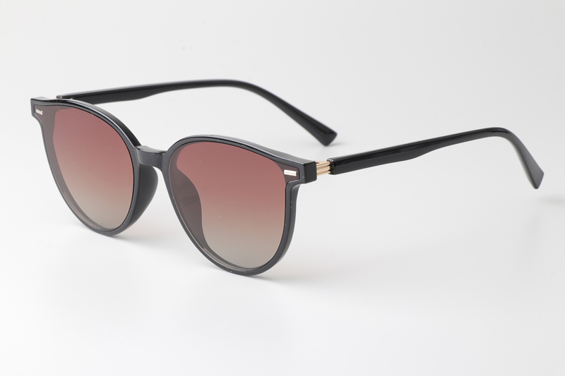WT0116 Sunglasses Black Gradient Brown