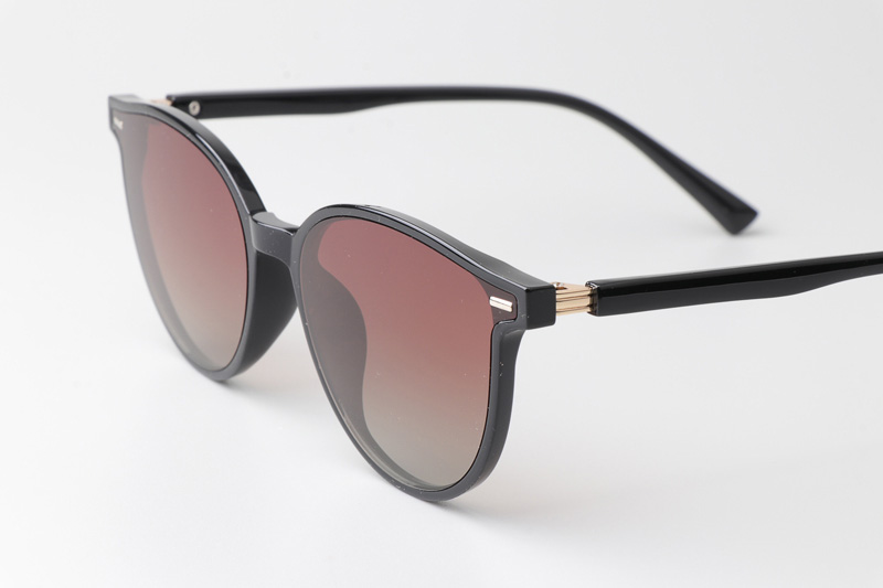 WT0116 Sunglasses Black Gradient Brown