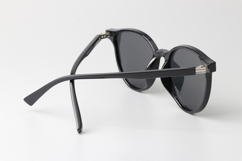 WT0116 Sunglasses Black Gray