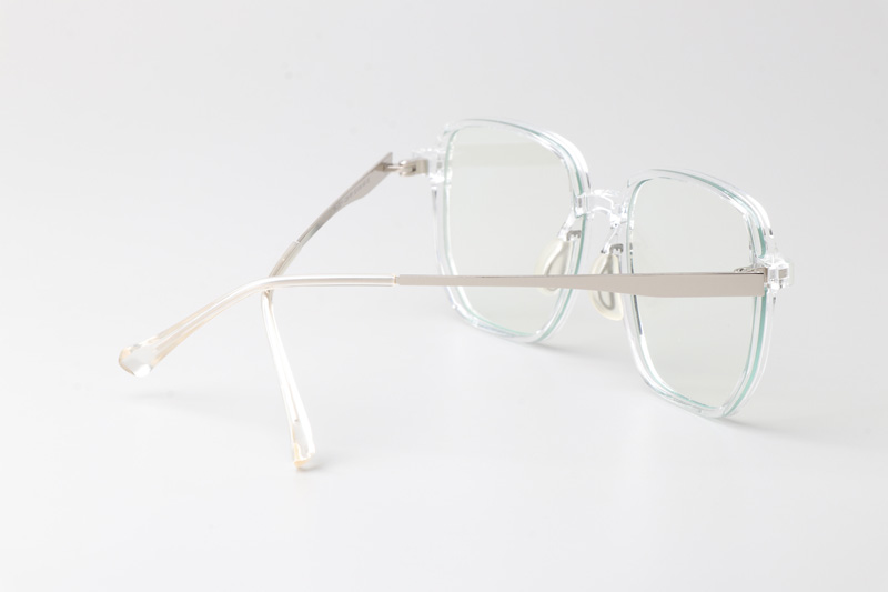 WT0211 Eyeglasses Transparent Silver