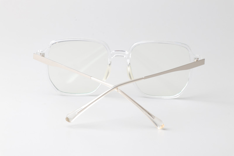 WT0211 Eyeglasses Transparent Silver