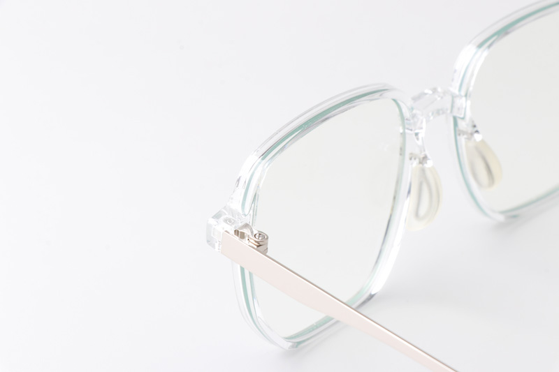 WT0211 Eyeglasses Transparent Silver