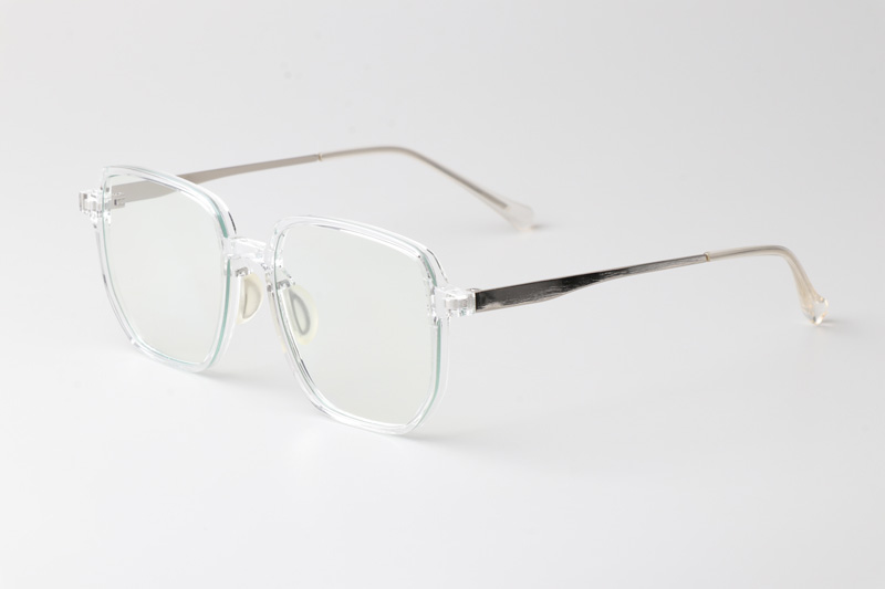 WT0211 Eyeglasses Transparent Silver