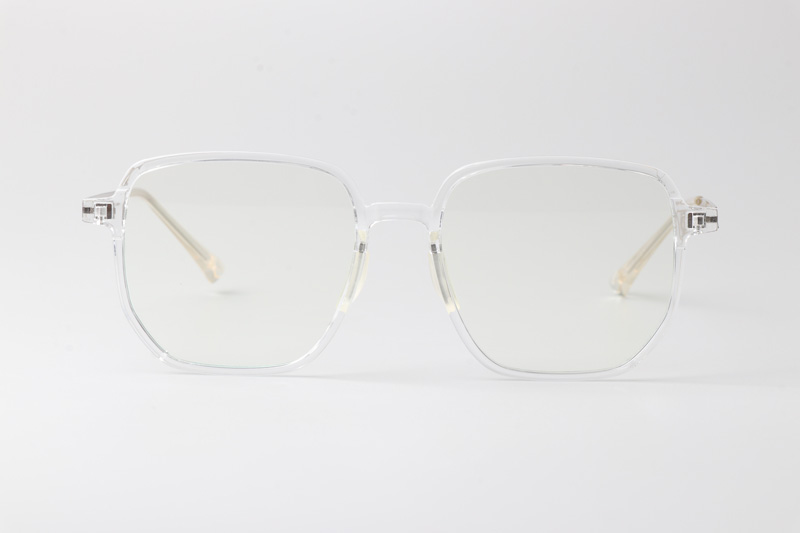 WT0211 Eyeglasses Transparent Silver