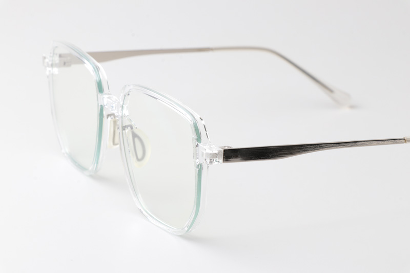 WT0211 Eyeglasses Transparent Silver