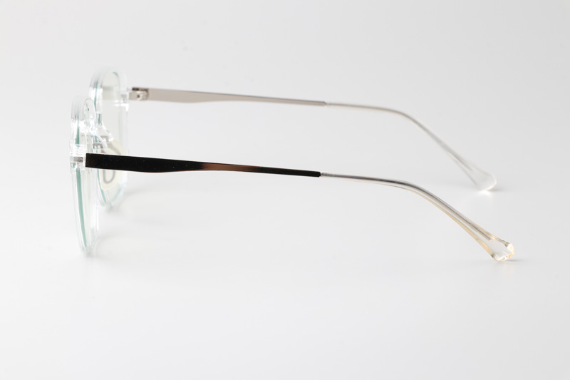 WT0211 Eyeglasses Transparent Silver