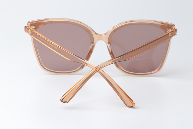 WT0326 Sunglasses Brown Clear Pink