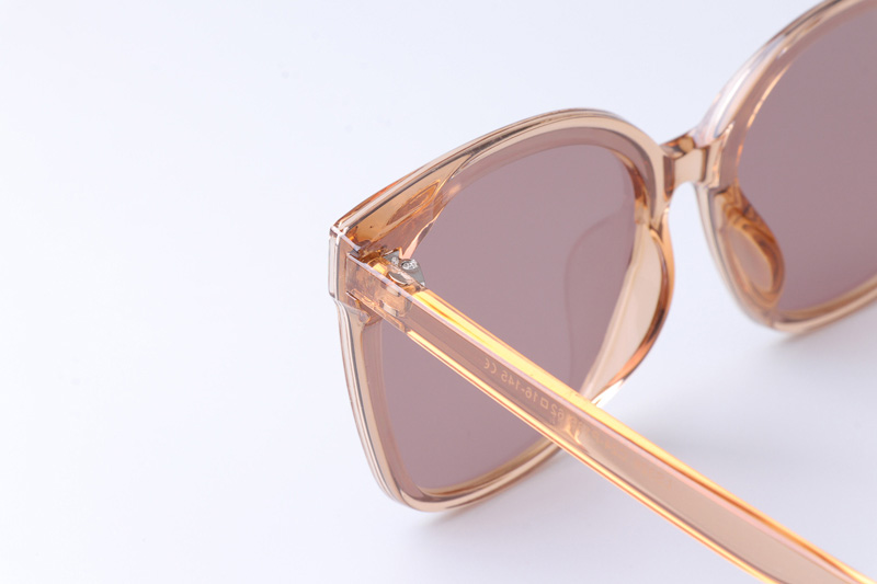 WT0326 Sunglasses Brown Clear Pink