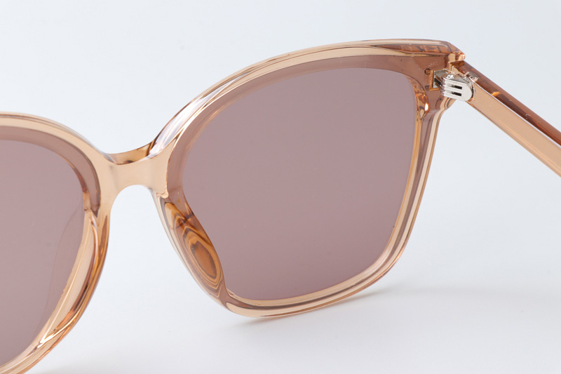 WT0326 Sunglasses Brown Clear Pink