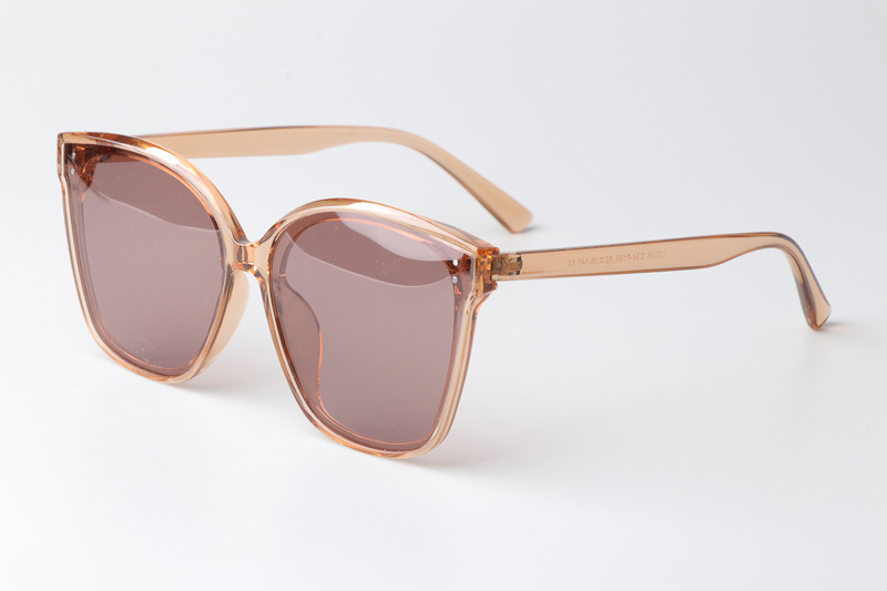 WT0326 Sunglasses Brown Clear Pink