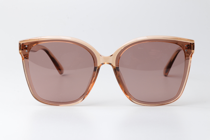 WT0326 Sunglasses Brown Clear Pink