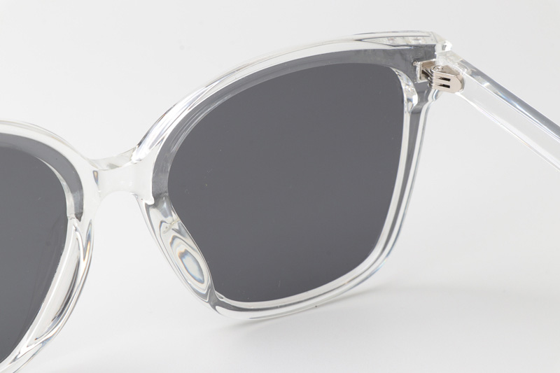 WT0326 Sunglasses Clear Gray